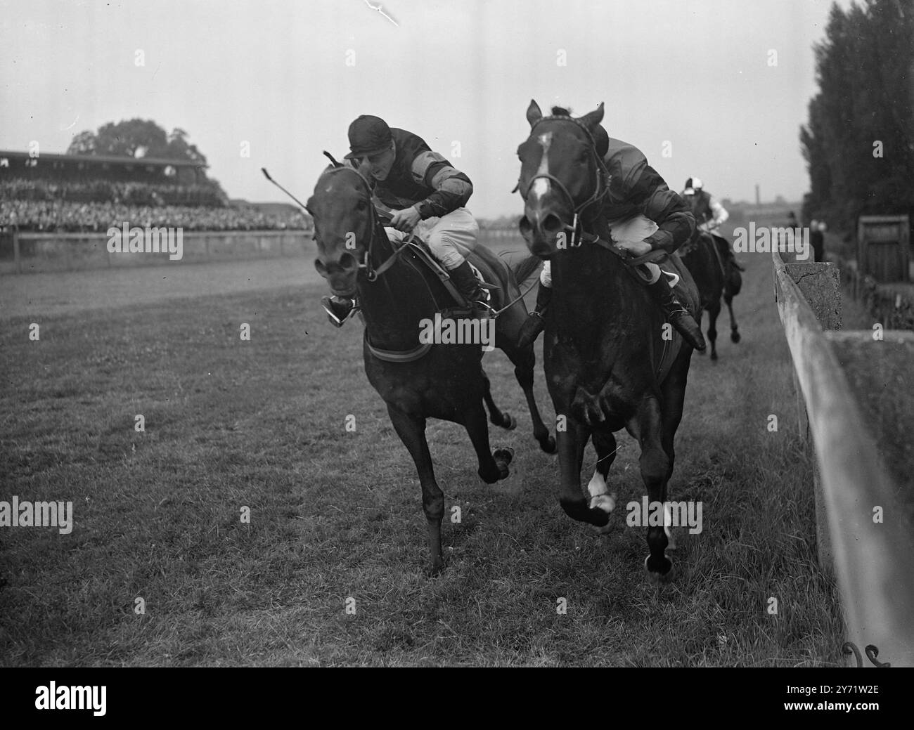 „Near Blue“ gewinnt Near Blue, Jockey E Mercer Up (innen) hat heute Nachmittag einen erstklassigen Kampf mit River Patrol, E. Smith Up, im Highbury Handicap im Alexandra Park. In der Nähe von Blue gewann das Rennen, mit River Patrol Zweiter und Technik Zweiter. 26. Juli 1948 26. Juli 1948 Stockfoto