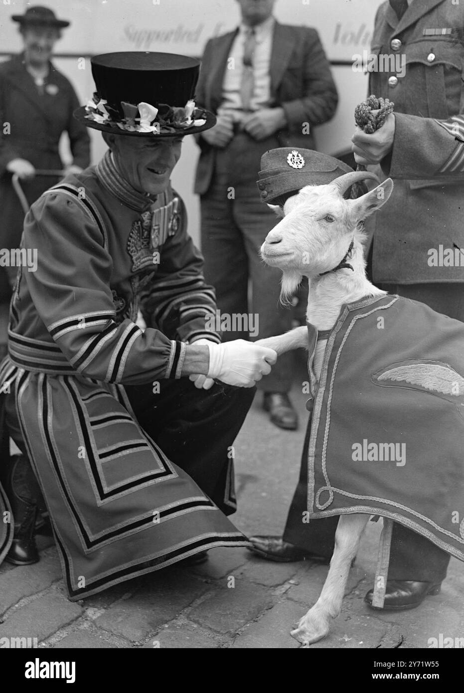 Lewis II. Wird von Yeoman Warder Whitmore, B.E.M, begrüßt, bevor er seinen Dienst im Tower of London antritt, wo er Lewis I, einem berühmten RAF-Maskottchen, helfen wird, Gelder für den Allied Forces war Memmorial Fund for Animals zu sammeln. 4. August 1948 Stockfoto