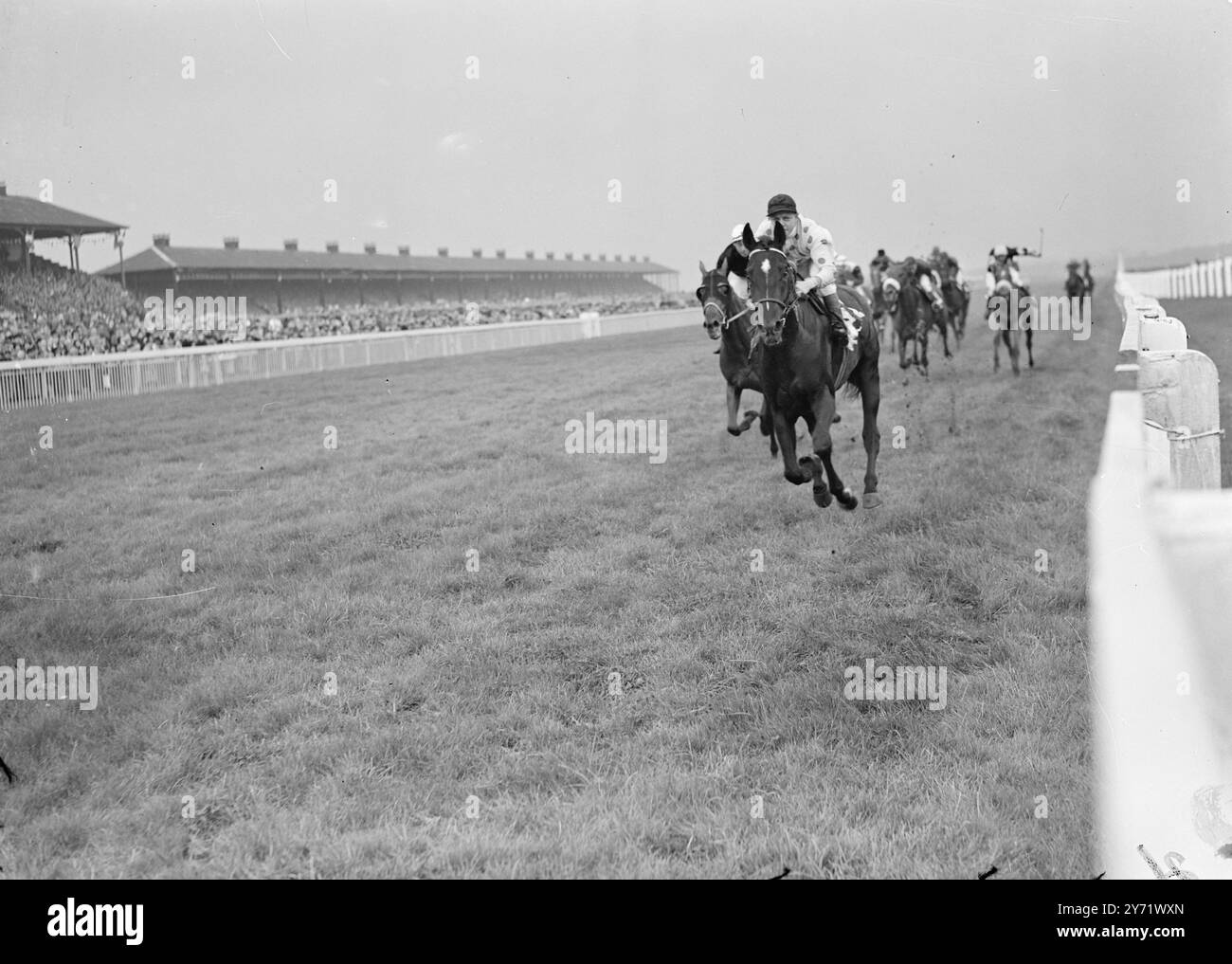 Black Tarquin gewinnt den St. Leger. Black Tarquin gewann den St. Leger for America bei Doncaster Today von Alyciden mit eineinhalb Längen, Solar Slipper mit drei Längen. Mr. Love, 7-4 Favorit, scheiterte, nachdem Gerüchten zufolge er gekratzt werden würde und 10-1 angeboten wurde, nicht zu laufen. Der König und die Königin mit der Prinzessin Royal beobachteten das Rennen. 11. September 1948 Stockfoto