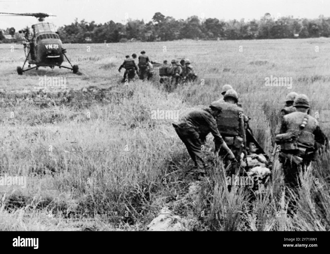 Marines tragen Verwundete zum Hubschrauber. Cam ne, Südvietnam: Die amerikanischen Marines transportieren die Verwundeten durch hohes Gras zu einem wartenden medizinischen Evakuierungshubschrauber, während einer Räumungsoperation südlich der da Nang Luftbasis. US-Beamte in Saigon berichteten heute, dass 550 Vietnam Cong bei der größten Marineaktion des Vietnamkriegs getötet wurden. US-Verluste wurden als leicht gemeldet. August 1965 Stockfoto