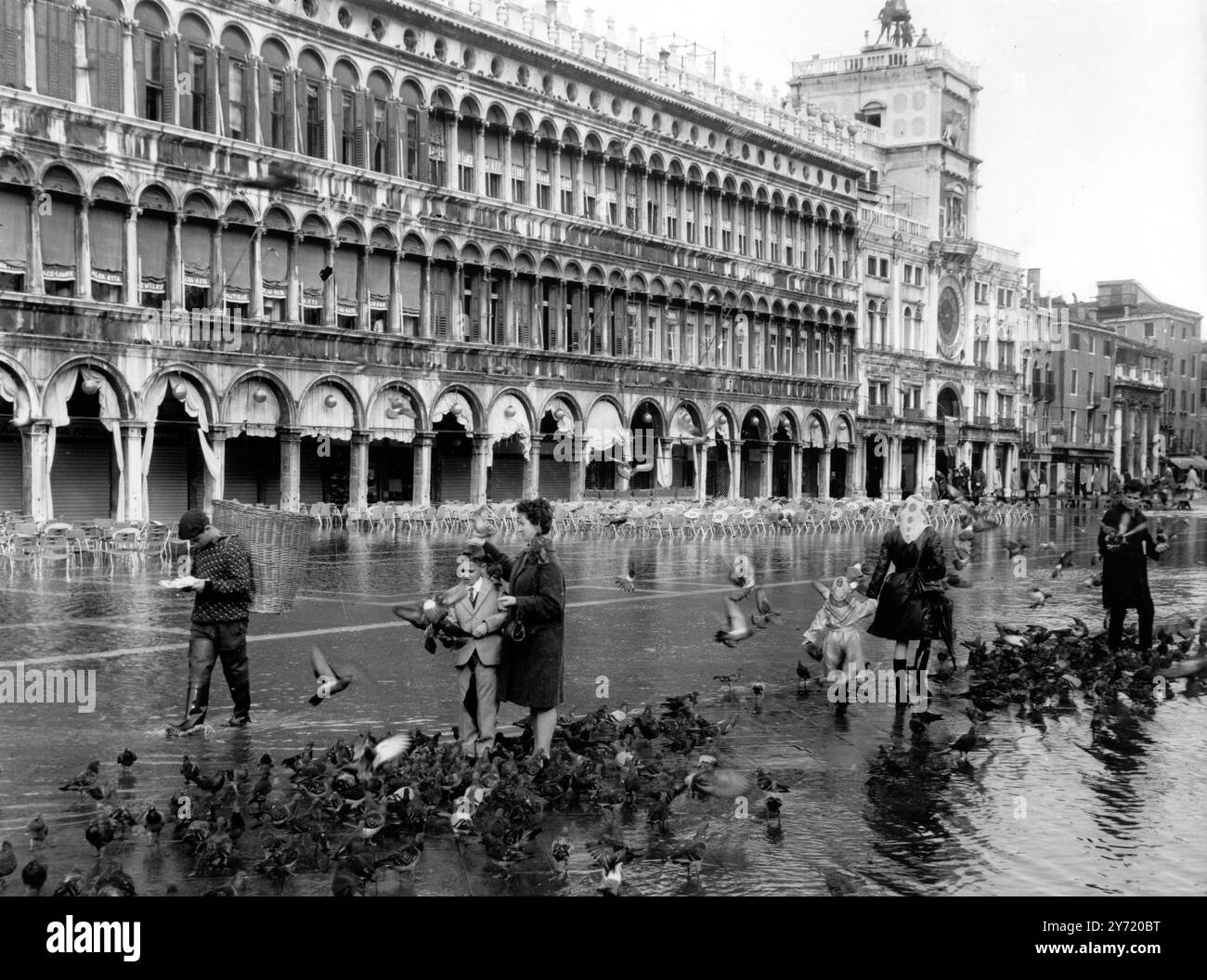 Regen hält die Tauben nicht auf die herbstliche Überschwemmung ist auf dem Markusplatz angekommen, und wer keine Regenschuhe trägt, muss sich an die wenigen hohen Plätze halten. Die Tauben haben aber nichts dagegen. Sie strömen nur dort, wo es eine Chance auf Nahrung gibt. 3. November 1966 Stockfoto