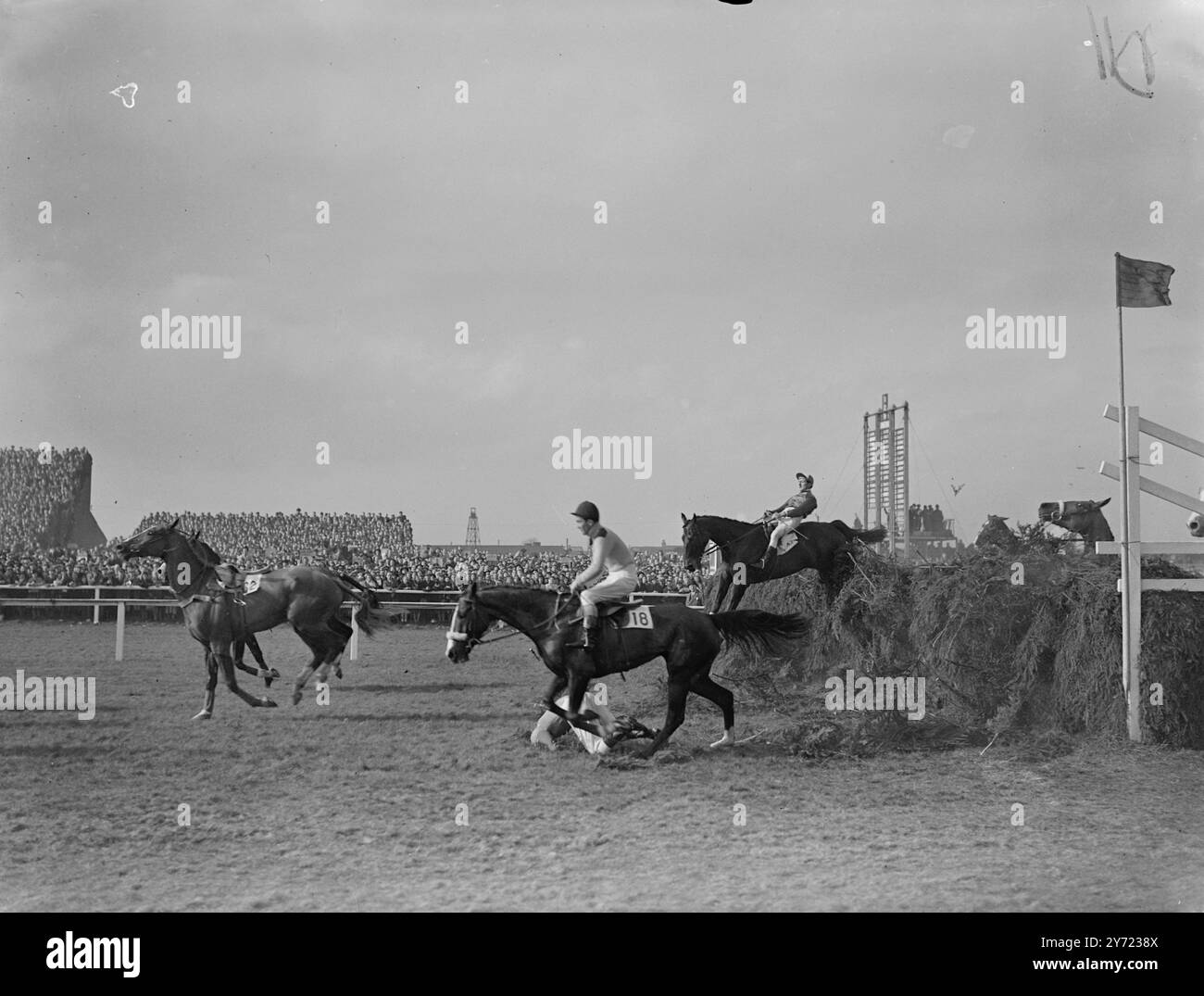 Aintree Ehren für Sheila's Cottage. Mr. J. Proctors Stute, Sheila's Cottage, geritten von der gebürtigen Ire A.. P Thomson schrieb Renngeschichte in Aintree heute (Samstag), als sie auf einem Feld von 43 Läufern den Grand National um eine Länge von Major D. Vaughans erster der Dandies gewann (J. Brogan) es war das erste Mal seit 1902, dass eine Stute den großen Turmsprung gewonnen hat. Lord Mildmay, der auf seinem eigenen Cromwell reitete, war wieder einmal unglücklich. Er konnte nur den dritten Platz erreichen. Preise: 50-1, 25-1, 33-1. März 1948. Stockfoto