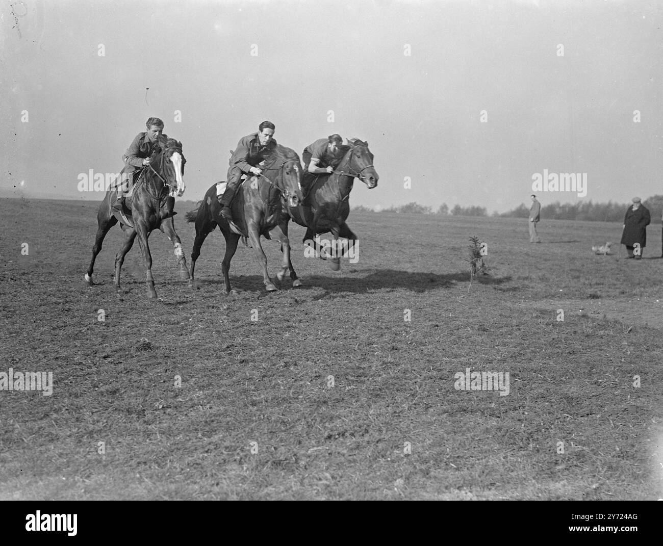 Drei Mitglieder von Herbert Smyths Saite machen das Beste aus dem Sonnenschein am frühen Morgen auf Epsom Downs. Von links nach rechts sind Pongo, Mary Stuart und der Taucher. April 1948 Stockfoto