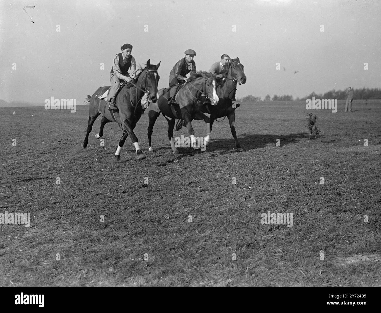Drei Mitglieder von Herbert Smyths Saite machen das Beste aus dem Sonnenschein am frühen Morgen auf Epsom Downs. Von links nach rechts sind Pongo, Mary Stuart und der Taucher. April 1948 Stockfoto