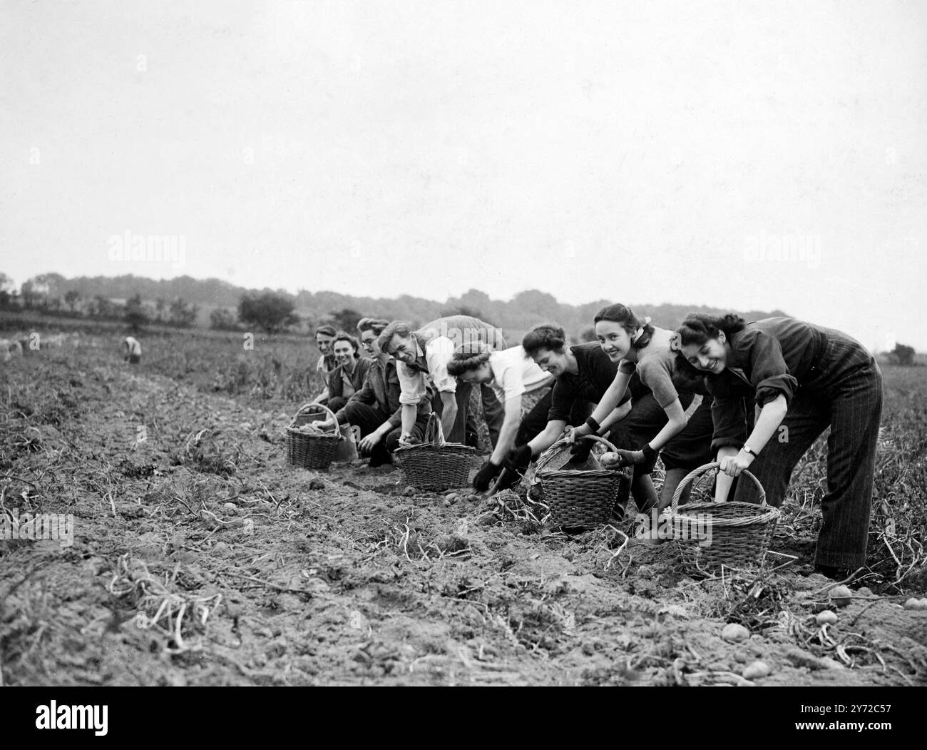 Die bescheidene Kartoffel macht Neuigkeiten mit der Rede von der Rationierung dieses lebenswichtigen Gemüses während der Wintermonate. Freiwillige Helfer werden soeben auf den britischen Bauernhöfen willkommen geheißen, wo die durch die Dürre im Sommer erschöpfte Kartoffelernte abgebaut wird. Das Bild zeigt: Auf der Warren House Farm, Brockley Combe, Somerset, können sich Helfer des Flachs Bourton freiwillig mit der Kartoffelernte nicht beschäftigen. Die beiden Mädchen auf der rechten Seite des Bildes sind links Miss Betty Smith aus Bromley, Kent, London Schneiderin, und Miss Julia Lord aus Uxbridge, Middlesex, eine GPO-Angestellte. 15. Oktober 1947 Stockfoto