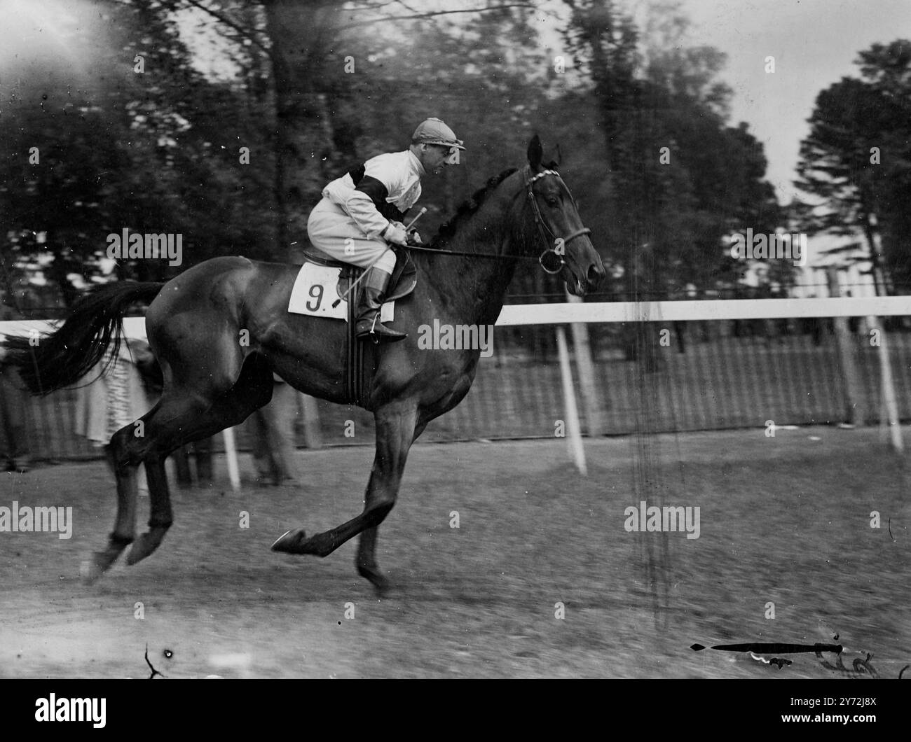 Ein neues Bild von Mrs. M Buchanans Derby-Eintrag Stockade in einem Galopp mit Gordon Richards. Dieser Hengst ist in der Spitzenklasse der drei Jahre alten Rennpferde. Geschult von F.. Liebling, er hat in dieser Saison einen beeindruckenden Start gemacht, indem er seine ersten beiden Rennen gewann und am letzten Samstag in den Derby Trial Stakes im Lingfield Park als Dritter gegen Sayajirao und Stavle-Begleiter Glendower gewann. Stangenade in Fancy bei 33 zu 1. 19. Mai 1947 Stockfoto