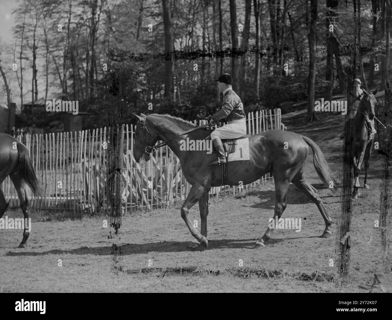 Er präsentiert seine Majestät den Blue Train des Königs und macht seinen ersten Auftritt der Saison im Sandown Park. Mit Gordon Richards gewann der King's Colt von Blue Peter Out of Sun Chariot die Sandown Park Trial Stakes von einer Meile und einem Viertel in ausgezeichnetem Stil. Die Chancen für das Derby gegen Blue Train wurden auf 8 zu 1 verkürzt und das Pferd wird voraussichtlich einen steifen Widerstand gegen den heißen Favoriten Tudor Minstrel liefern. 4. Mai 1947 Stockfoto