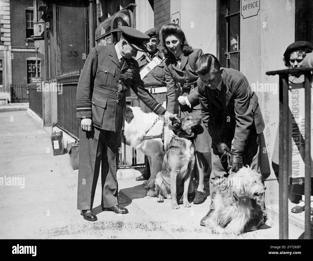 Air Chief Marshal Sir Frederick Bowhill, CBE, KCE, CMG, DSC, er eröffnete eine Ausstellung mit Porträts von Tierkriegshelden in der Cork Street 32, dem Londoner Hauptquartier der Volkshalle für kranke Tiere. heute Nachmittag überreichte er zwei Hundehelden die Dickin-Medaillen, Ricky, ein Veteran der Minenräumung in Holland, und Brian, Patrouillenhund eines Fallschirmbataillons der Airborne Division, der mit seinen Männern in die Invasion der Normandie Normandie - 26. April 1947 Stockfoto