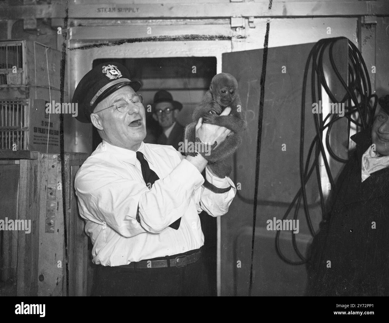 Vom New York Zoo zum London Zoo. Bei der Ankunft in Southampton im Linienschiff „America“ heute (Donnerstag) wird ein Geschenk von 32 Tieren und Vögeln angeboten. Die sind vom New York Zoo für den London Zoo. Die neue Kollektion umfasst zwei Emus, 36 Fasane, 10 Wachteln, einen Kran, 34 Enten, acht Tauben, zwei Toucanets, zwei Scramers und Ibis, eine Rupicola, 22 Passanten, Hirsch, zwei Agoutis, zwei Kinkajous, zwei Waschbären, zwei Affen und eine Schildkröte. Alle Tiere, mit Ausnahme der Hirsche, werden voraussichtlich innerhalb weniger Tage den Londonern gezeigt, wenn sie nach ihrem Winter im Atlantik ausgeruht werden Stockfoto