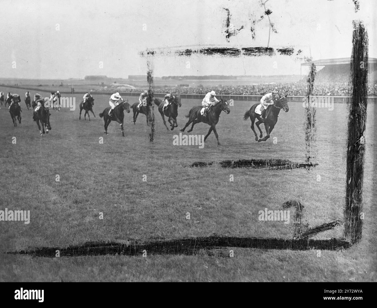 Der wachsende Ruf französischer Rennpferde erhielt einen weiteren Aufschwung, als bei Newmarket's The Cesarewitch Stakes auf brillante Weise von M. L’Amiral mit Harry Wragg im Sattel gewonnen wurde. Nur drei Viertel der zurückliegenden Strecke war das ehemalige irische Pferd Ford Transport (T. Weston Up), die Geoffrey's Lady um eine halbe Länge auf den zweiten Platz geschlagen hat. Das Siegerpferd, das Mr. H. Barnard Hankey gehört, ging mit 33 zum Startposten. Das Bild zeigt das Ende der Cesarewitch-Stakes in Newmarket, wie M L'Amiral den Sieg von Ford Transport, gefolgt von Geoffrey's Lady. 16. Oktober 1946 Stockfoto