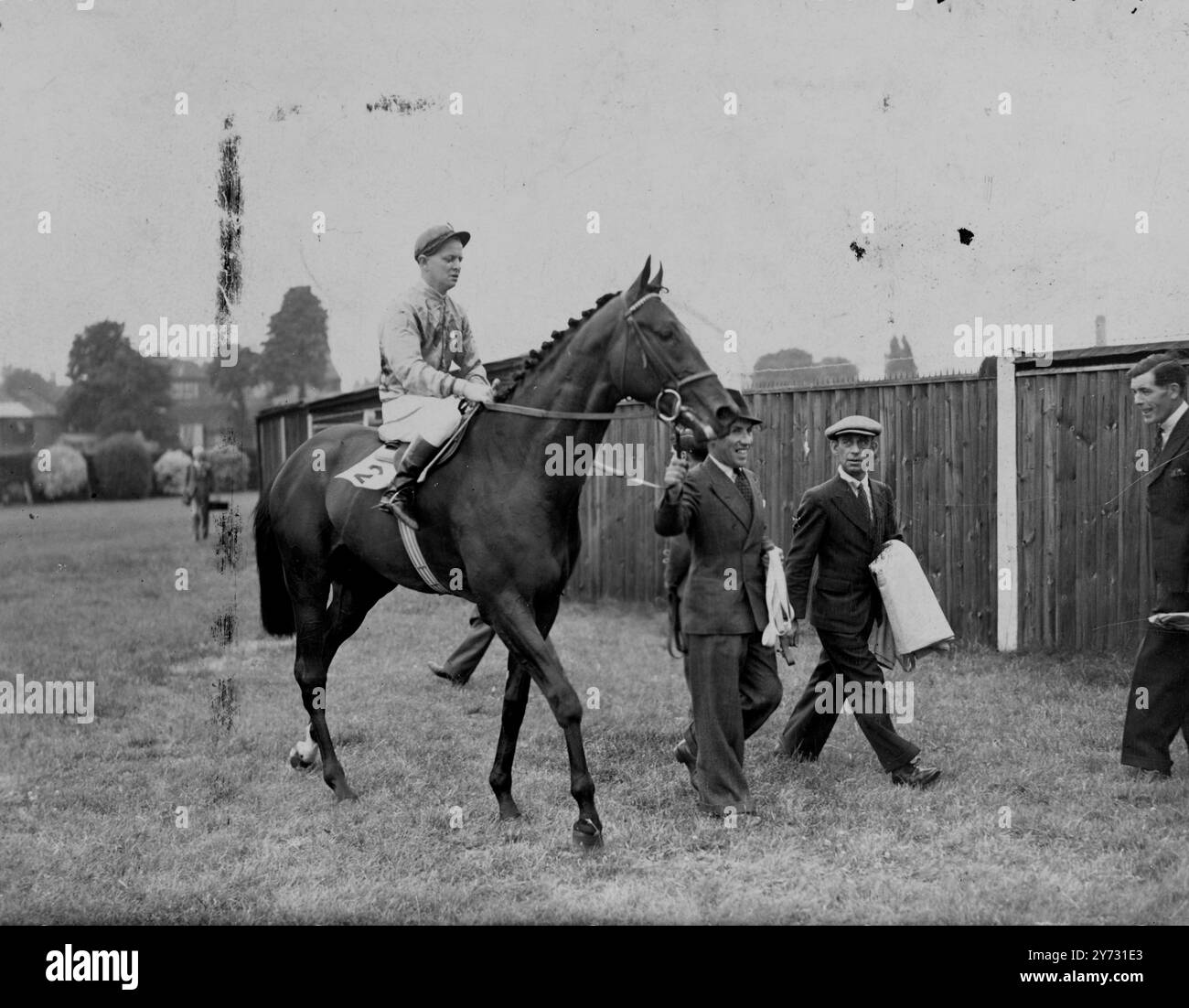 Der neue Sieger Sayajirao. Heute 28.000 gewann Dante, der Bruder des 1945er Derby-Siegers Dante, sein erstes Rennen, indem er mit Leichtigkeit das Wiegen (2.) und Faircourt (3.) am Posten in Hurst Park vorbei führte, in der will Somers Plate. Picture Shows, die heute am Freitag in Sayajirao im Hurst Park führend waren, nachdem er die will Somers Plate gewonnen hatte. 27. Juli 1946 Stockfoto