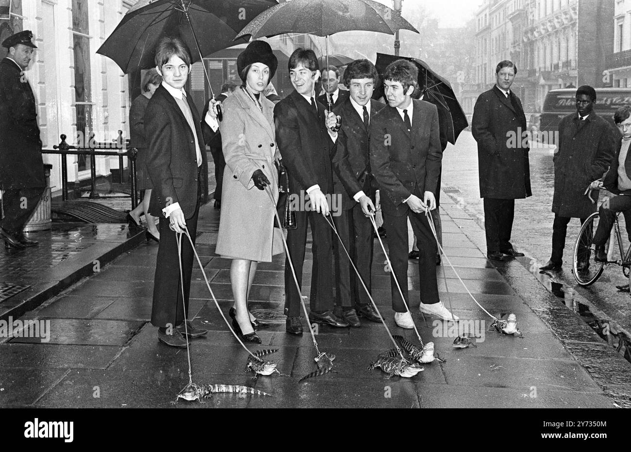 Die Popgruppe The Small blickt im Regen mit ihren kleinen Haustieren aus. Es begann alles , als einer der Gruppe , Ronnie Lane , einem Magazin scherzhaft sagte , er wolle einen Alligator . Also schickte ihm eine Gruppe von Fans in East London sieben lebende Alligatoren. Von links nach rechts hier sind Steve Marriott , 19 , Gesang und Leadgitarre , Jill Dejey (nicht mit der Gruppe) ; Ian McLagan , 19 , Orgel ; Kenny Jones , 17 , Schlagzeug und Ronnie Lane , 19 , Bassgitarre . 18. April 1966 Stockfoto