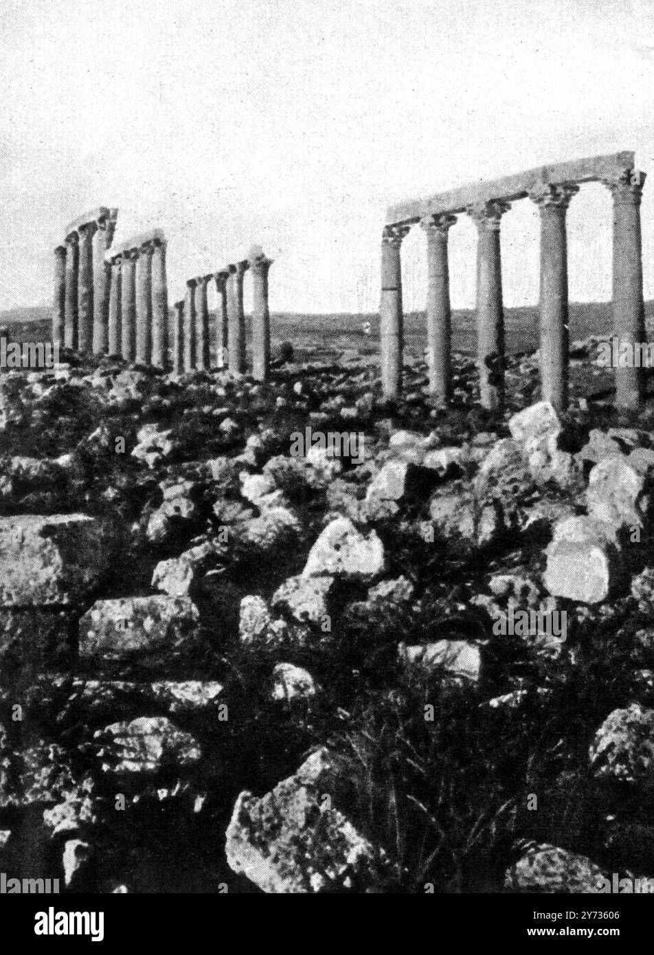 Transjordanien unter den Römern :: Eine schöne Stadt und ein großes Feld für eine archäologische Expedition. Die große Kolonnade bei Gerasa ( modernes Jerash ) - Teil der Hauptallee der korinthischen Säulen 1923 Stockfoto