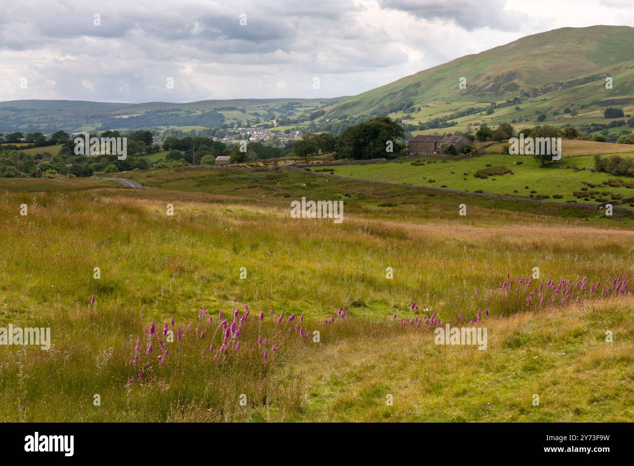Blick von Garsdale nach Sedbergh, Yorkshire Dales, Cumbria, England Stockfoto
