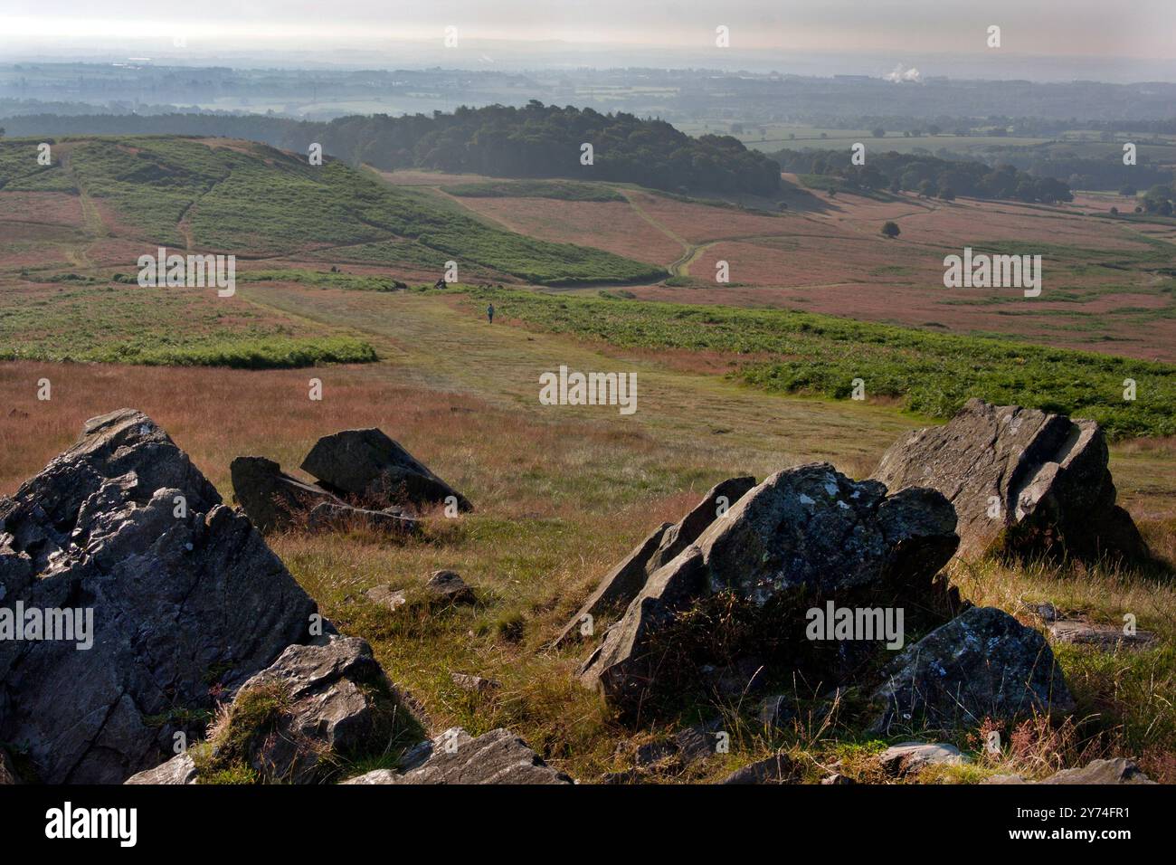 Bradgate Park, Newtown Linford, Leicestershire, England Stockfoto
