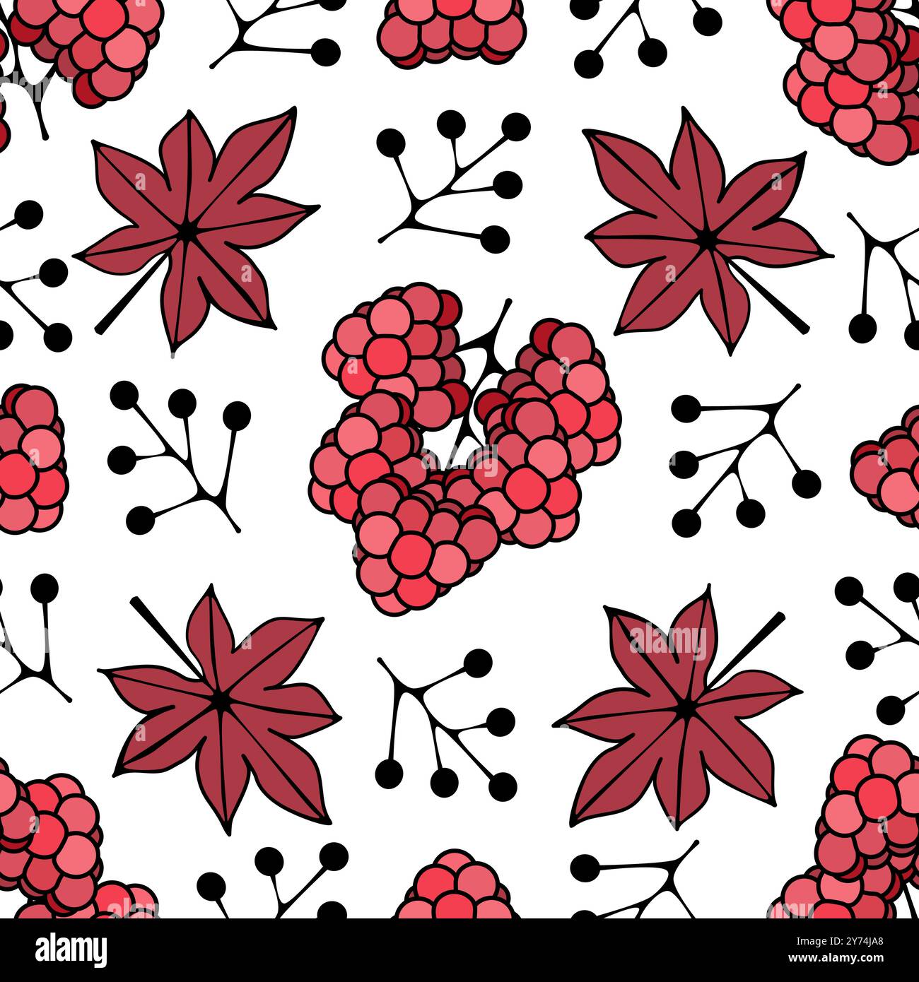 Nahtloses botanisches Muster mit Himbeeren und Blätter Vektor Illustration Stock Vektor