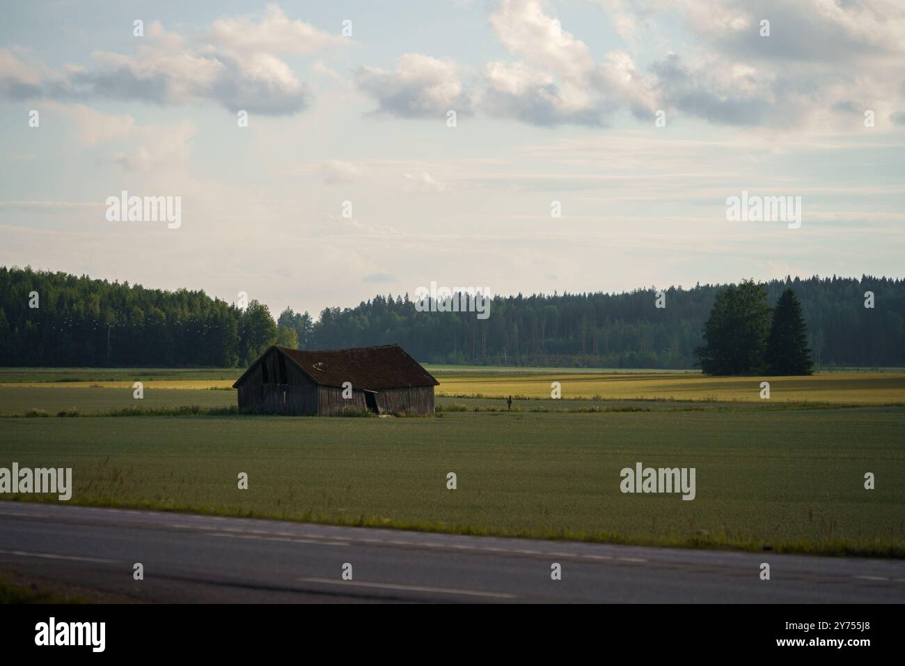 Alte Scheune auf einem Feld neben einer Straße in Finnland. Stockfoto