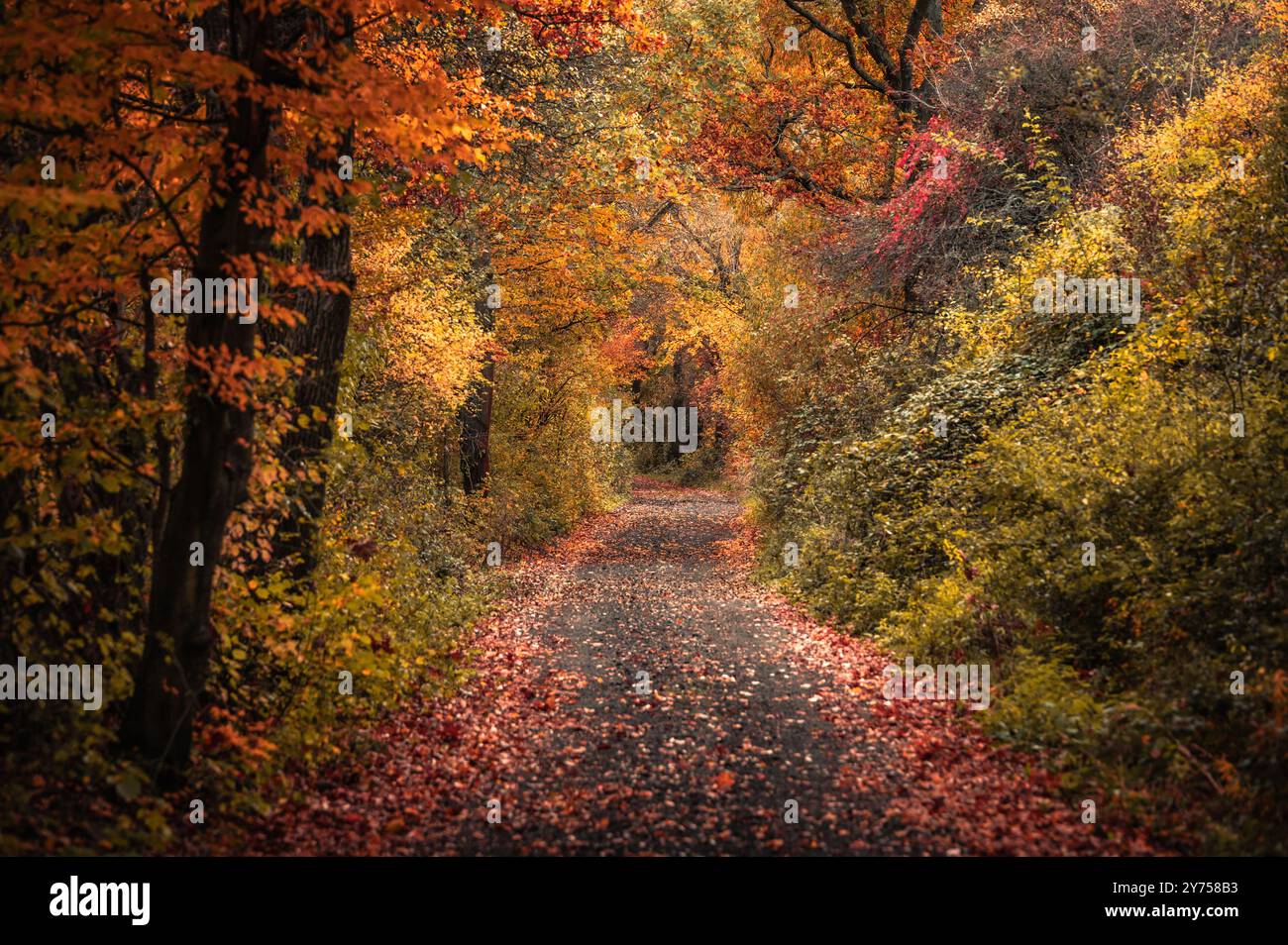 Eine gewundene Straße durch die farbenfrohe Landschaft Stockfoto