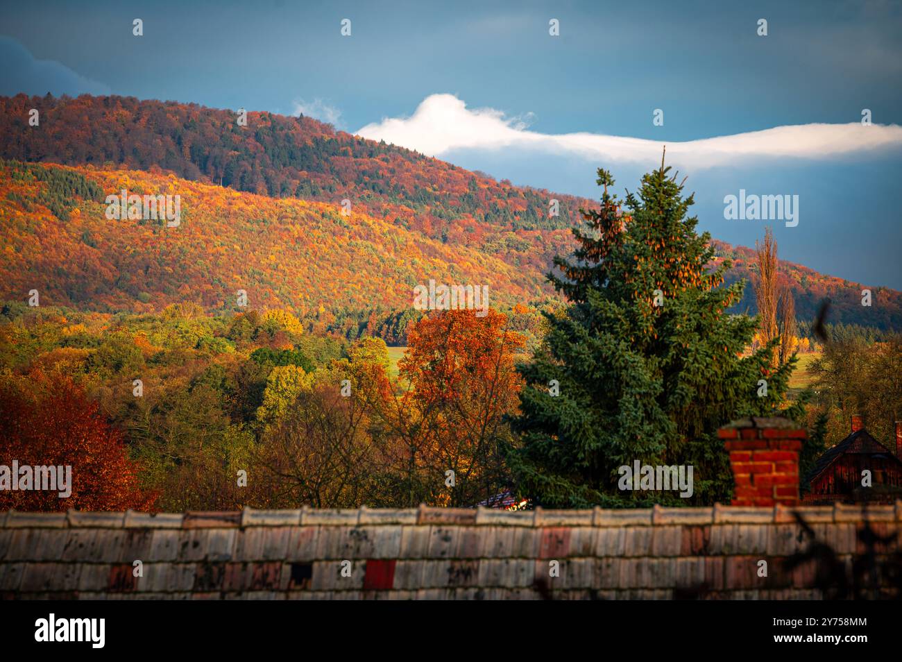 Ein malerisches Karpaten-Dorf eingebettet in farbenfrohe Herbstpracht Stockfoto