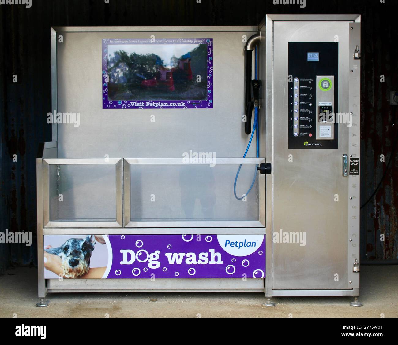 Knepp Rewilding Project - Hundewäsche - Öffentliche Hundewaschmaschine Stockfoto