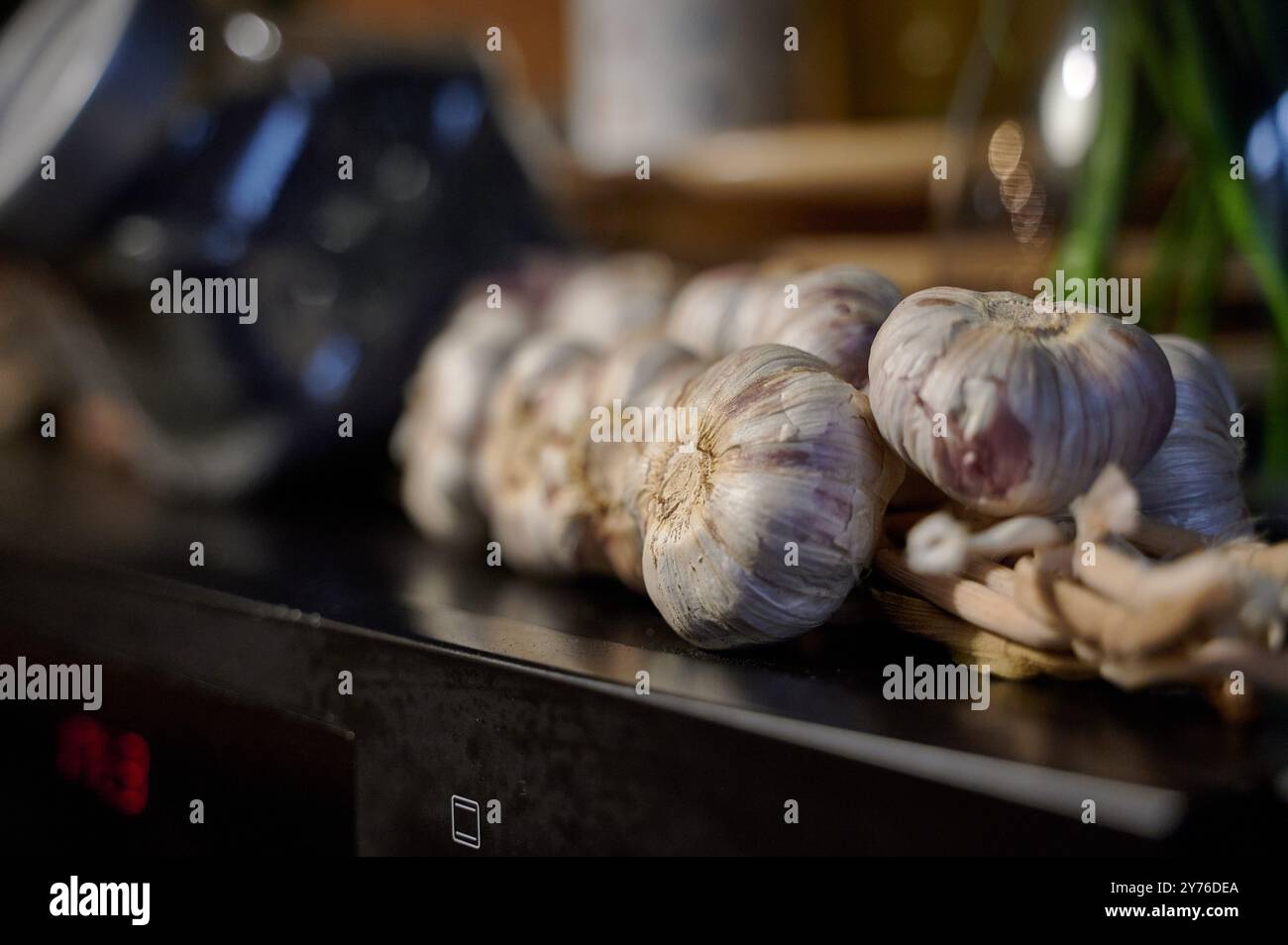 Frische Knoblauchzwiebeln und Pilze, die während einer Kochsitzung oder einer Fotosession auf einer Theke angeordnet werden Stockfoto