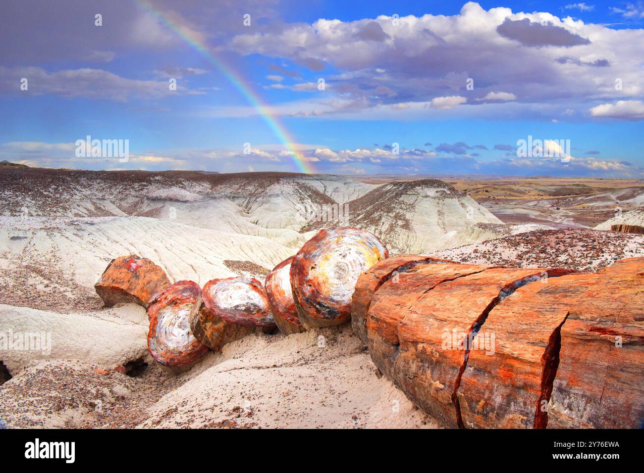 Regenbogen Über Kristallwald Stockfoto