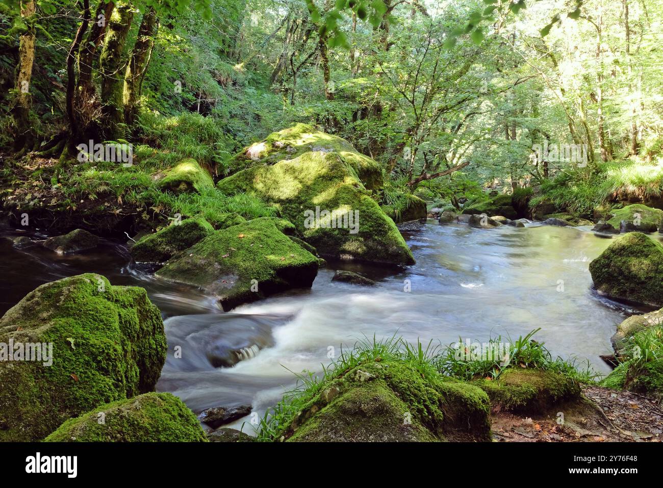 Golitha Falls, am Fluss Fowey, schlängelt sich seinen Weg durch den alten Eichenwald von Draynes Wood, Liskeard, Cornwall, Großbritannien Stockfoto