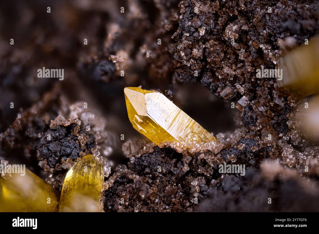 Gelbe Mimetitkristalle auf Dolomit. Exemplar aus der Mine Potosí, Aquiles Serdán, Mexiko. Mikrofotografie extreme Nahaufnahme. Mikroskopische Mineralkristalle Stockfoto