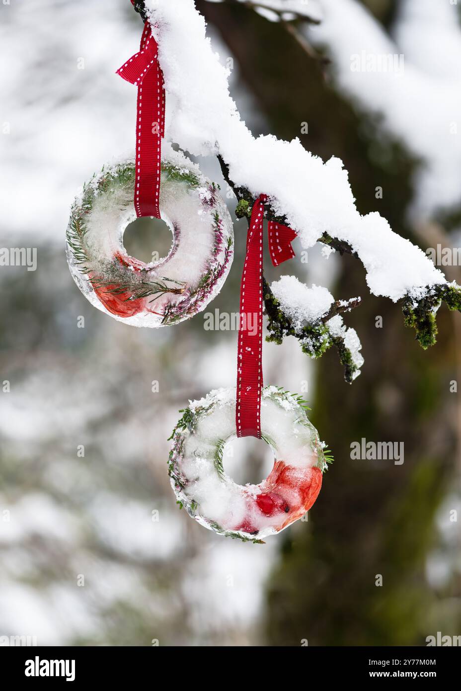 Abstrakt, Advent, Kunst, schön, Geburtstag, brennen, Kuchen, Feier, weihnachten, kalt, Kristall, Dekoration, dekorativ, Design, diy, donat, Event, f Stockfoto