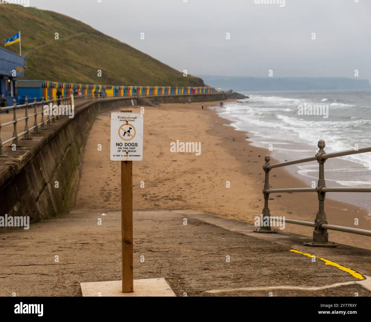 Kein Hundeschild am Whitby Beach Stockfoto