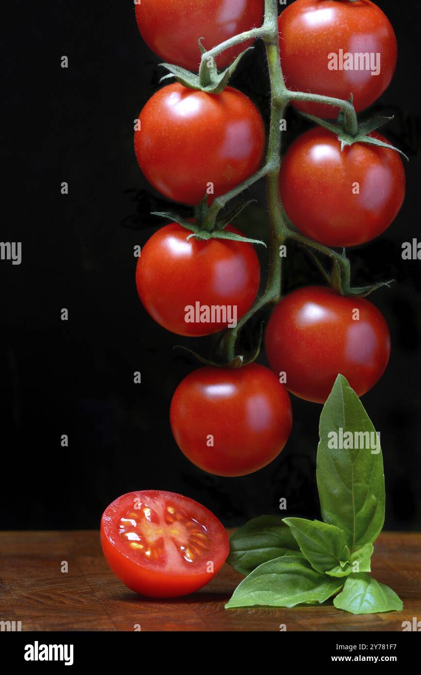 Kirschtomaten auf einem Stock, Kirschtomaten Stockfoto