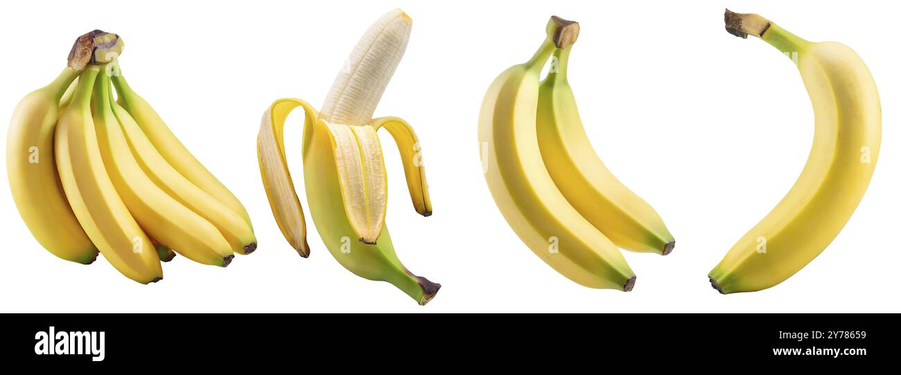 Mit köstlichen reifen Bananen auf weißem Hintergrund. Bannerdesign Stockfoto