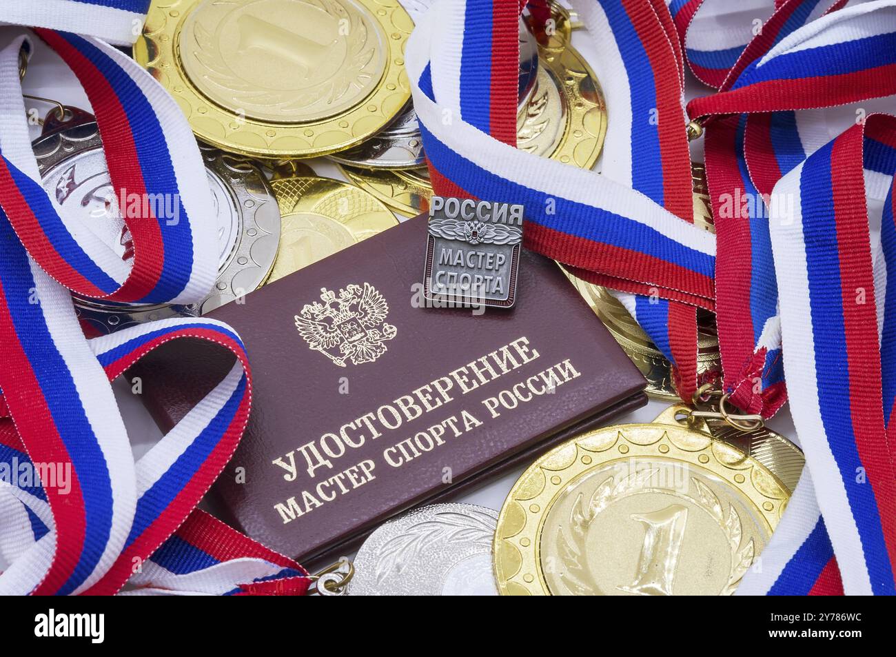 Kaliningrad, Russland, 12. Dezember 2020. Zertifikat und Abzeichen des Sportmeisters. Ehrenzeichen für den Athleten der höchsten Leistungen, EUR Stockfoto