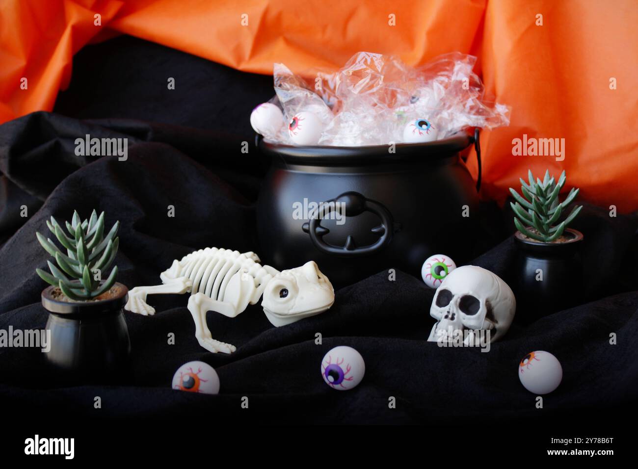 Halloween-Schädel, Froschskelett, Augenbälle und Kaktuspflanzen vor schwarzem Hexenkessel. Mexikanische Feiertagsdekoration Día de los Muertos. Stockfoto