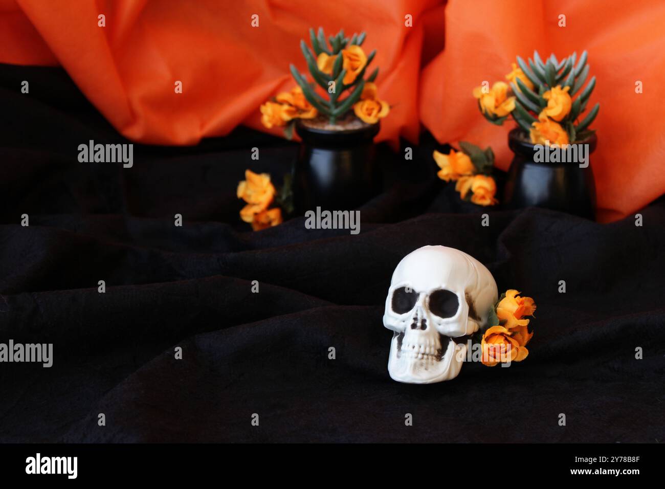 Halloween-Schädel auf schwarzem Hintergrund, orangefarbene Stoffblumen und Vasen mit saftigen Pflanzen. Mexikanische Feiertagsdekoration Día de los Muertos. Stockfoto