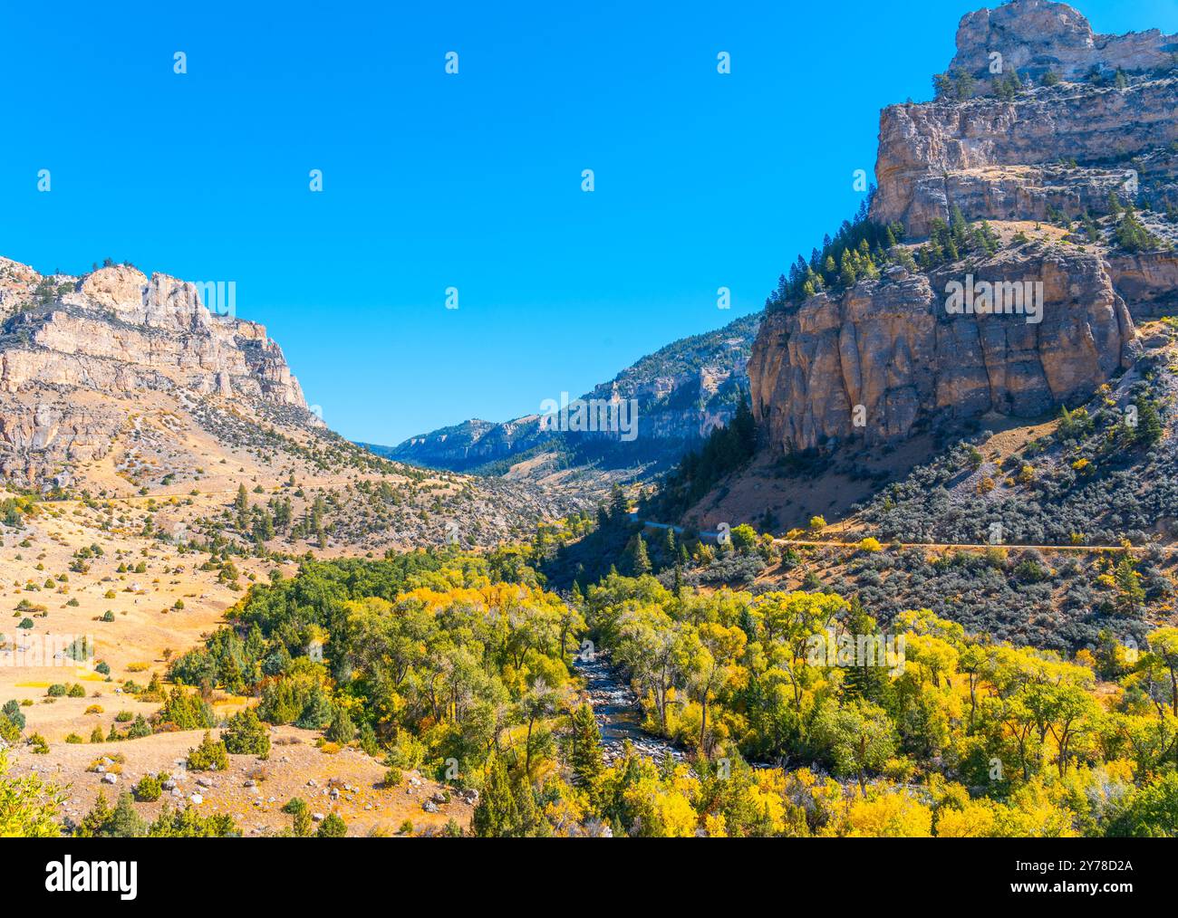 Der Blick ist vom Cloud Peak Skyway, Byway, zeigt den Cloud Peak im Norden von Wyoming. Höchster Berg in den Bighorn-Bergen, 13.167 Meter hoch. Stockfoto