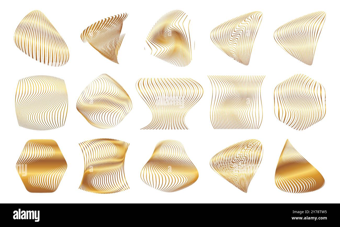 Elegante Gold Abstract Shape Kollektion Mit Natürlich Fließender Textur Stock Vektor