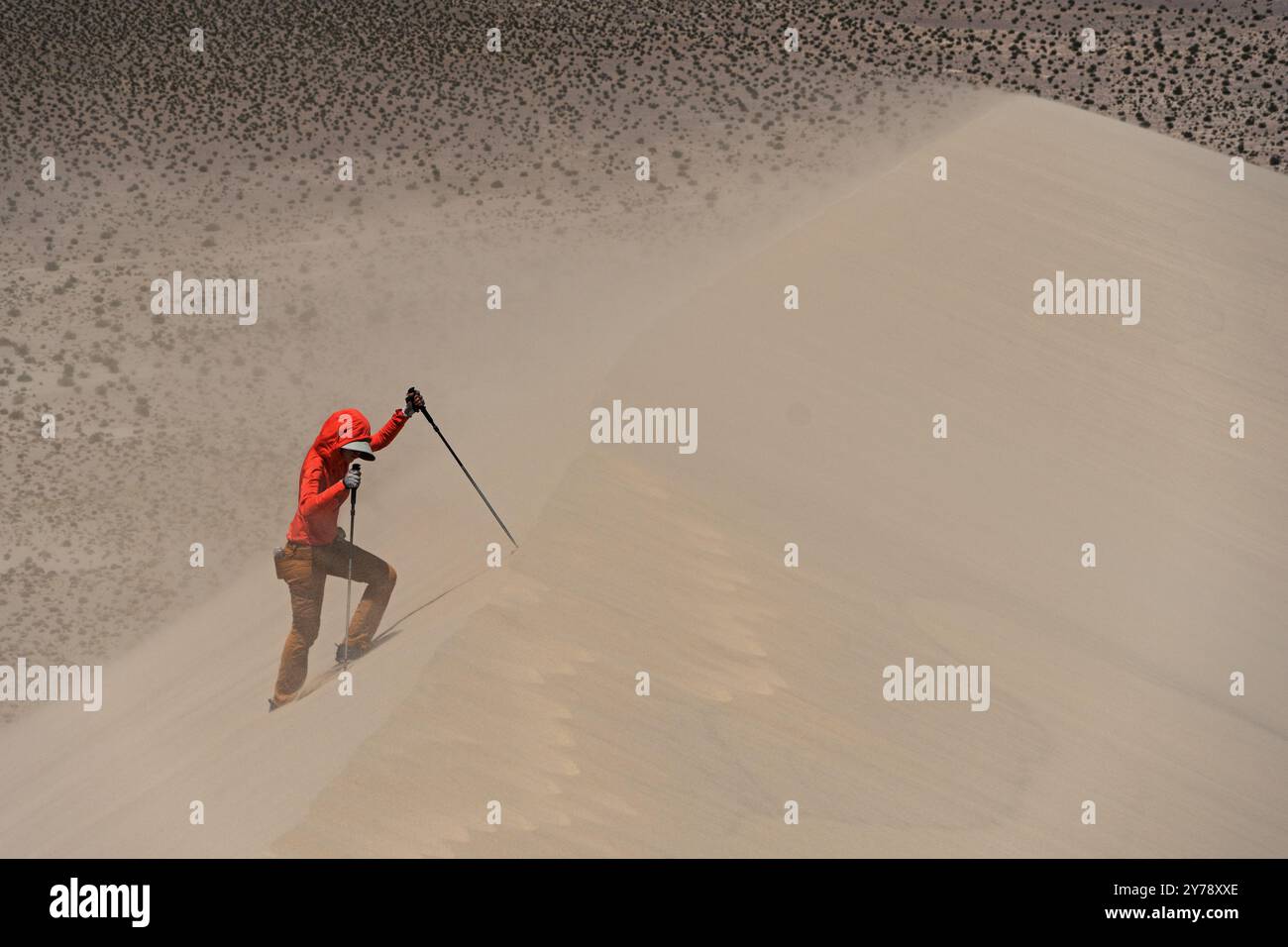 Eine Frau, die eine Sanddüne hinaufwandert und von Sand gestrahlt wird, der von der Spitze bläst Stockfoto