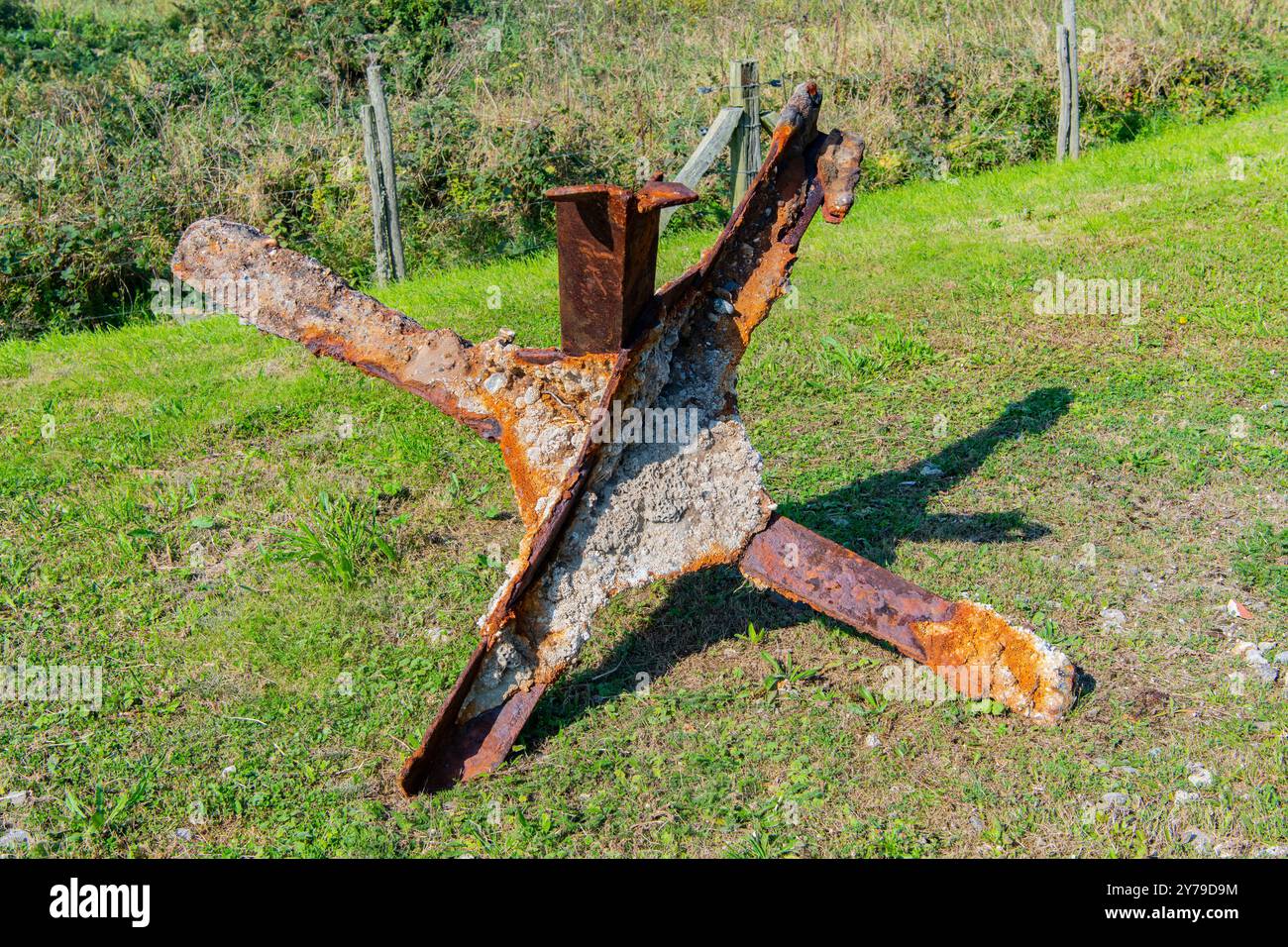 Der tschechische Igel bei Todt Battery in Griz-Nez, Frankreich Stockfoto