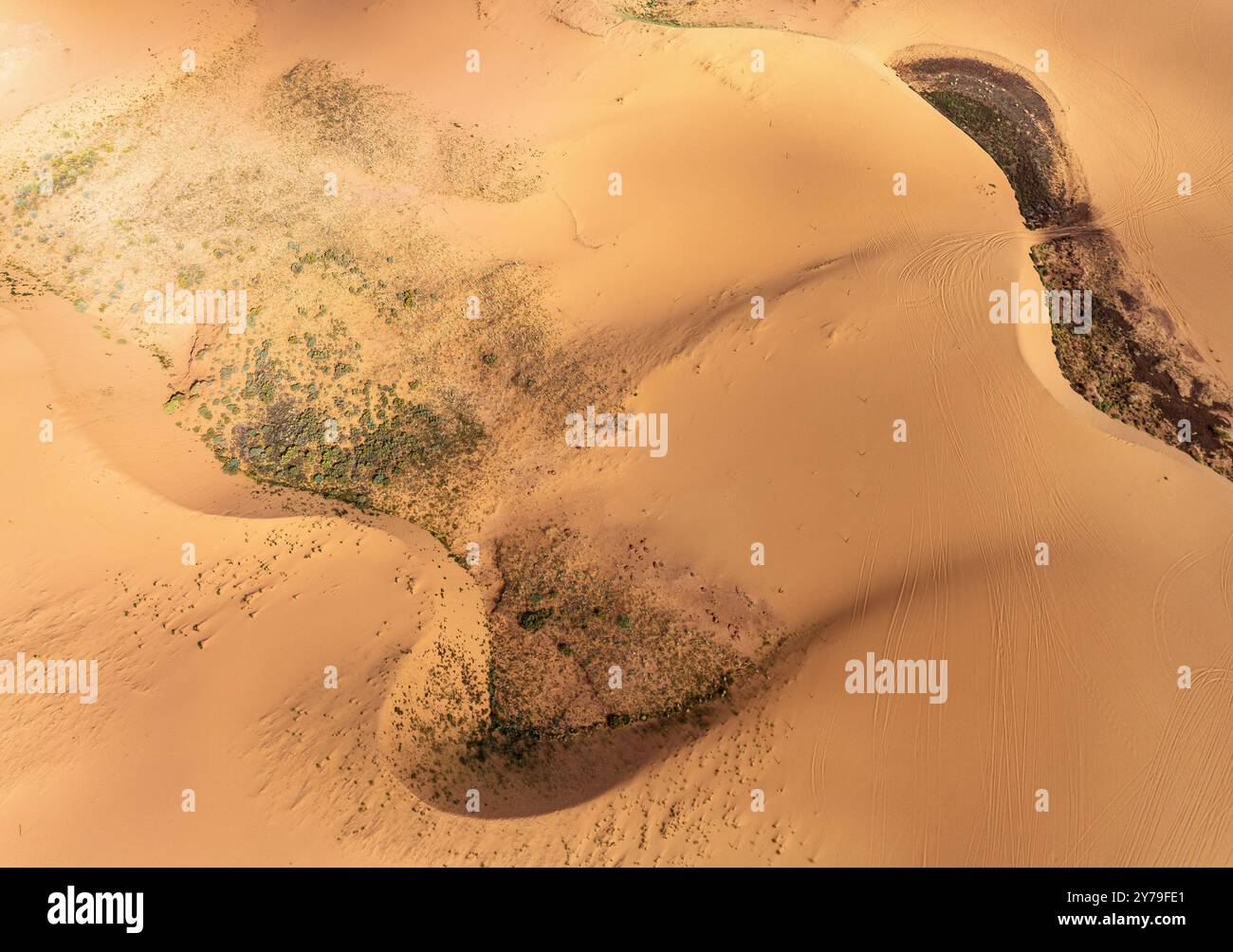 Drohnenansicht der Coral Pink Sand Dunes im Süden von Utah, USA Stockfoto