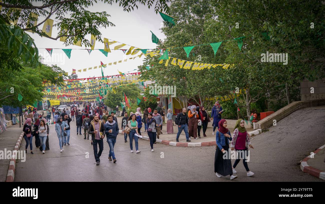 Studierende der Birzeit-Universität in Ramallah nehmen an den Wahlen des Studentenrates der Universität Teil. Das Endergebnis gab dem Islamischen Block von Al Wafaa 24 Sitze, dem Martyr Yasser Arafat Block 23 Sitze und dem Democratic Progressive Student Pole 4 Sitze von insgesamt 51 Sitzen. Der Student Unity Bloc konnte keine Plätze sichern. Die Wahlen fanden kurz nach der jährlichen Studentendebatte der Birzeit University am 8. Mai statt, die sich mit politischen, sozialen und studentischen Themen und Angelegenheiten befasst Stockfoto