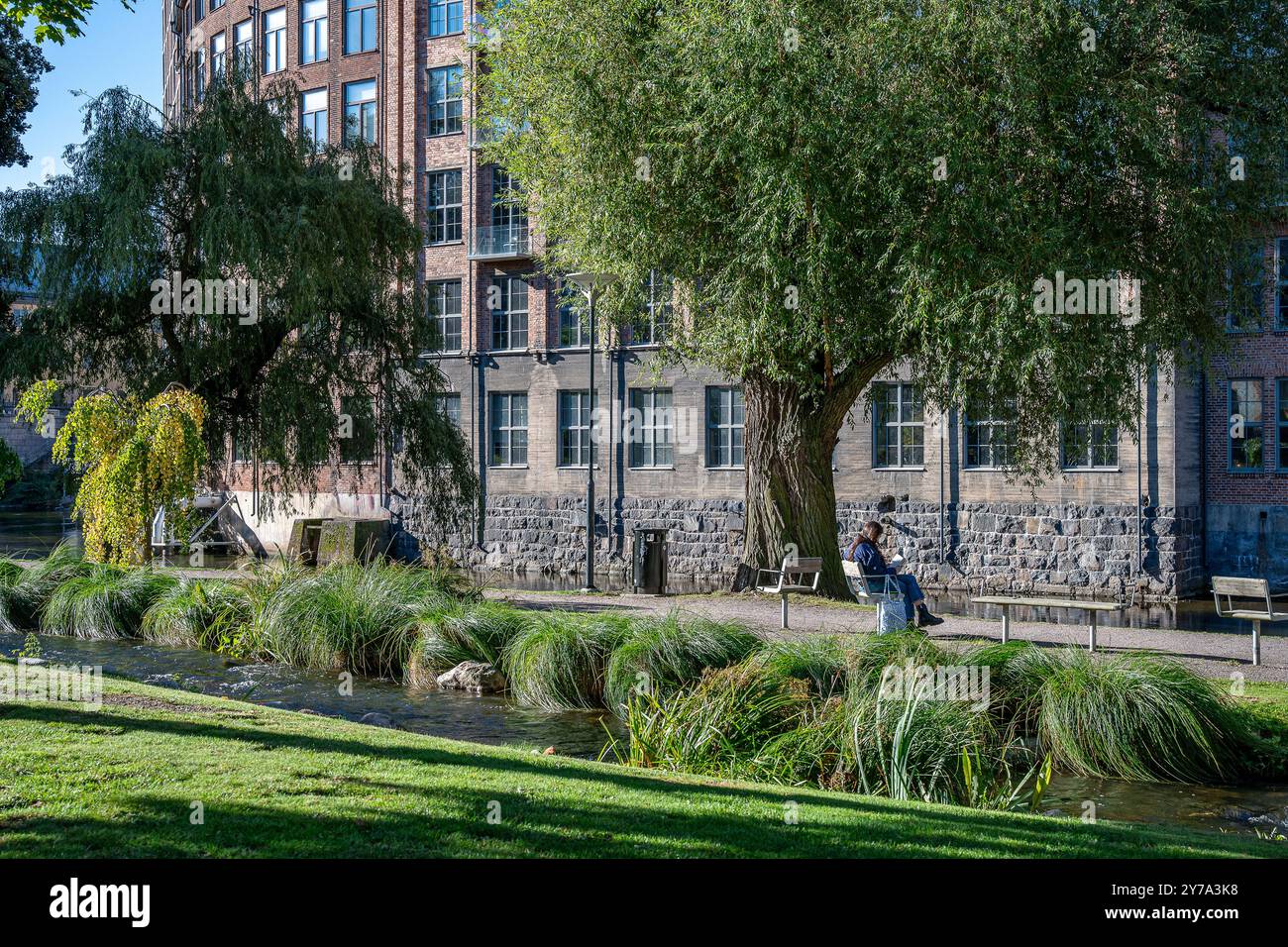 Frau sitzt im Stadtpark Strömparken zwischen Lekbäcken und Motala Stream im Herbst. Norrköping ist eine historische Industriestadt in Schweden. Stockfoto