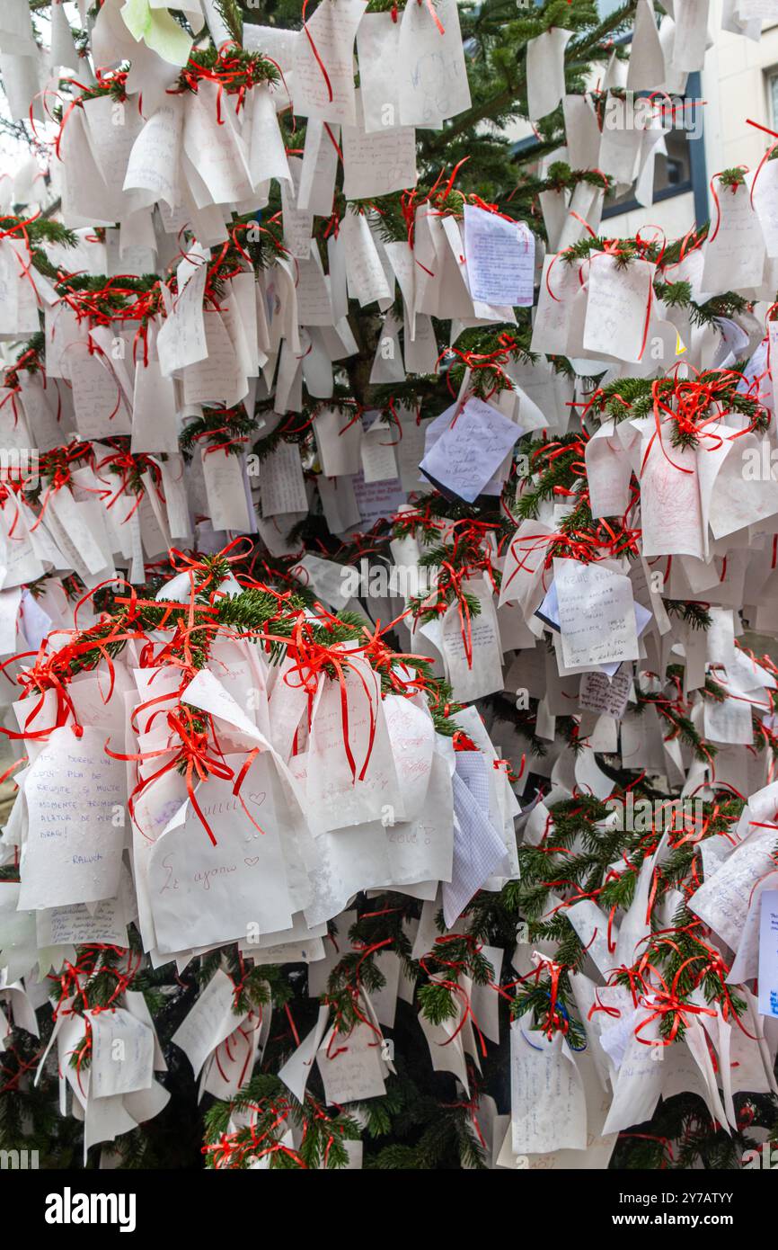 Deseos en un árbol de Navidad en Basilea, Suiza Stockfoto