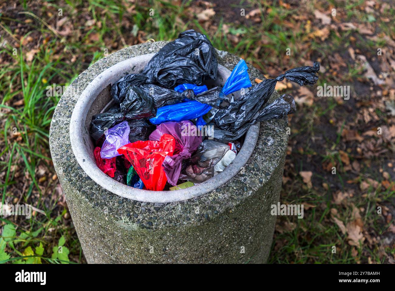 Die Nahaufnahme von oben zeigt den bis zum Rand gefüllten Behälter mit bunten Hundekotbeuteln in Schwarz, Blau, Lila und Rot. Schlossallee, Usedom-Süd, Mecklenburg-Vorpommern, Deutschland. Stockfoto