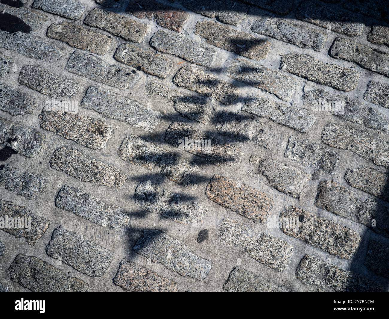 FORMEN SCHATTEN OBJEKTE FARBE UNDURCHSICHTIGE ELEMENTE Stockfoto