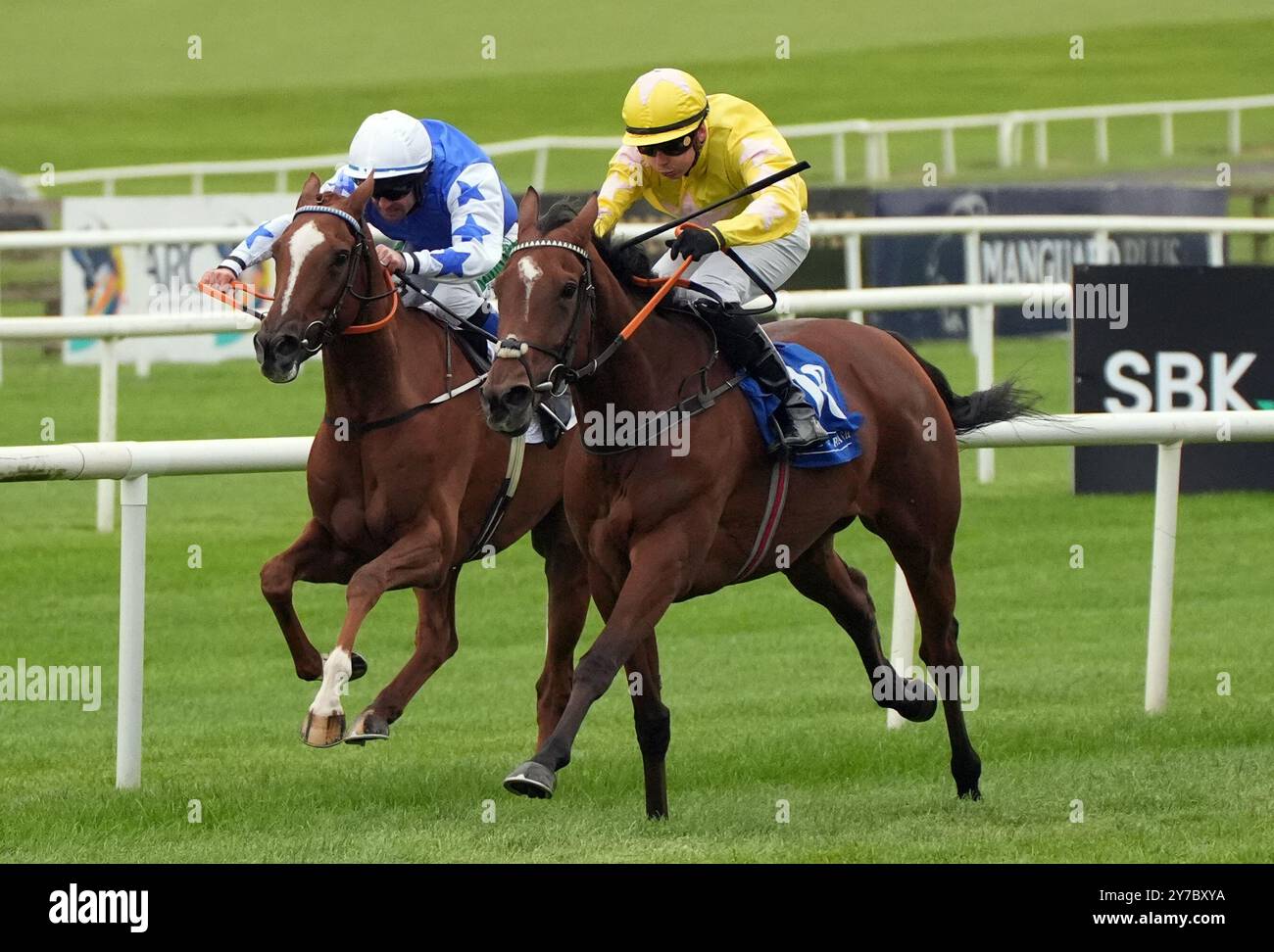 Belfrina, geritten von Ronan Whelan (rechts), gewinnt den SBK Maiden auf der Curragh Racecourse in Dublin. Bilddatum: Sonntag, 29. September 2024. Stockfoto