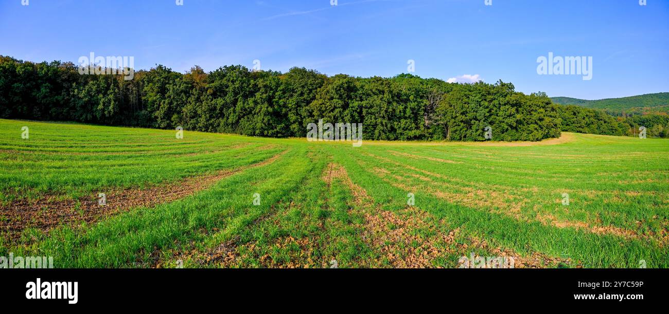 HDR-Panorama der Landschaft. tschechische republik - europa. Wunderschönes Bild der Natur. Wiese und Feld mit Wald. Konzept für Umwelt, Landwirtschaft und Stockfoto