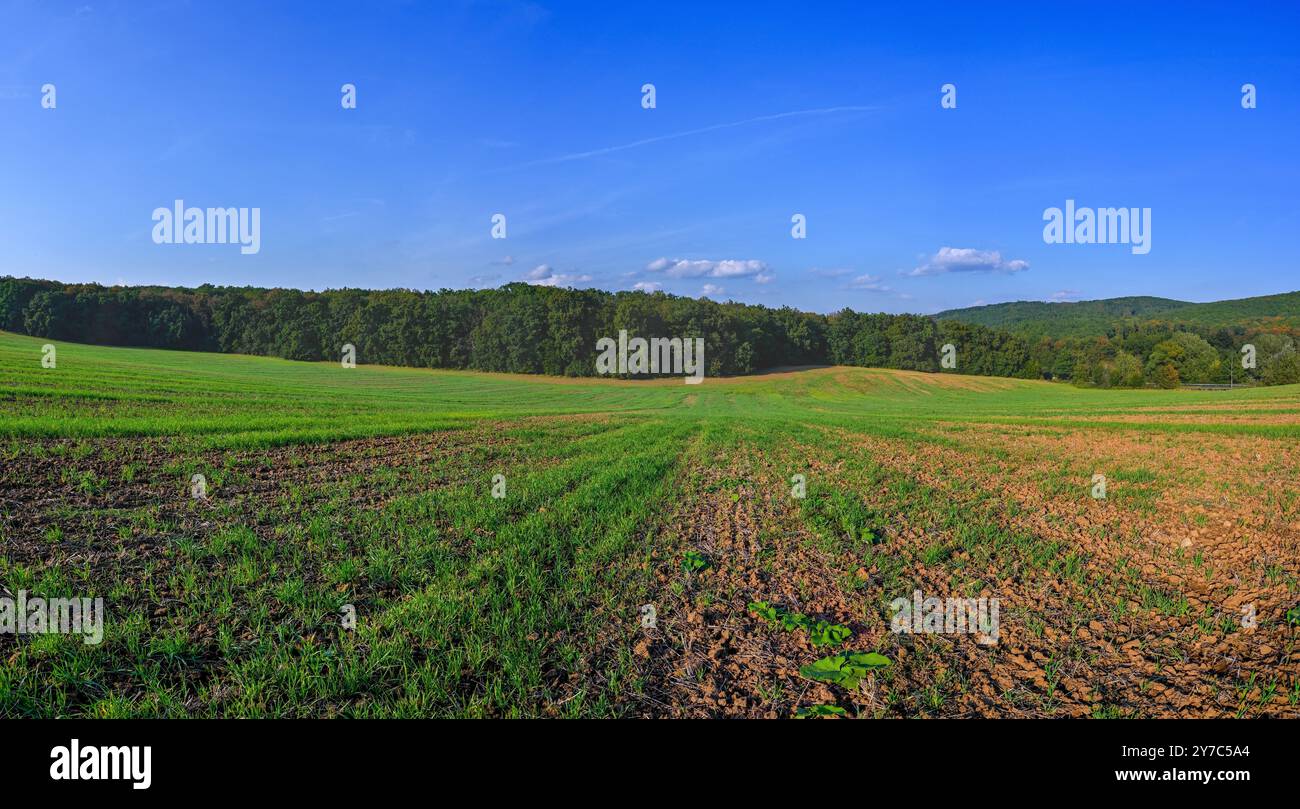 HDR-Panorama der Landschaft. tschechische republik - europa. Wunderschönes Bild der Natur. Wiese und Feld mit Wald. Konzept für Umwelt, Landwirtschaft und Stockfoto