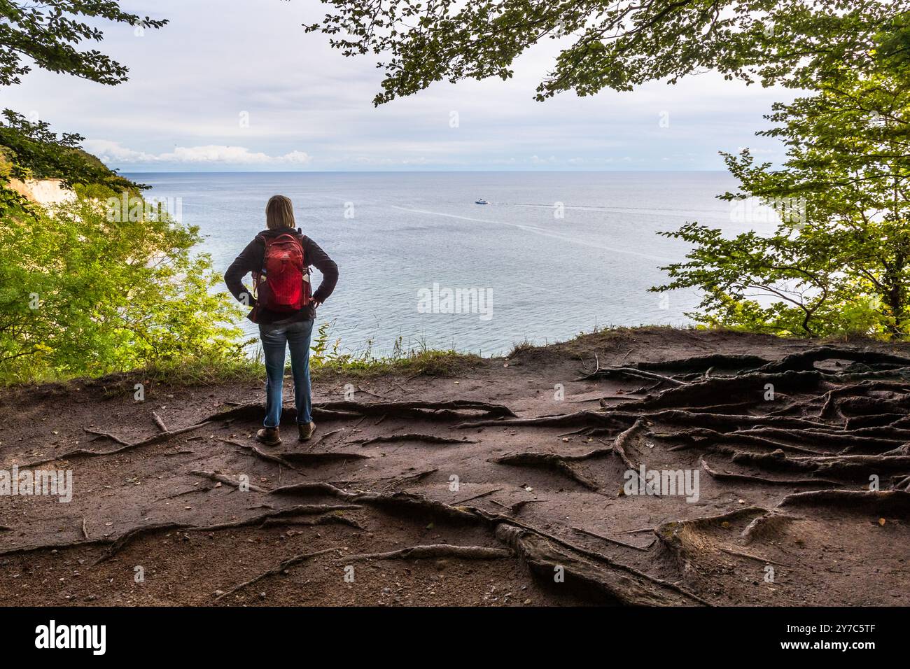 Wanderweg entlang der Kreidefelsen auf Rügen. Hochuferweg Sassnitz–Königsstuhl, Sassnitz, Mecklenburg-Vorpommern, Deutschland Stockfoto