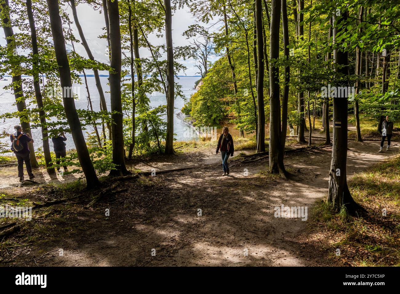 Wanderweg entlang der Kreidefelsen auf Rügen. Hochuferweg Sassnitz–Königsstuhl, Sassnitz, Mecklenburg-Vorpommern, Deutschland Stockfoto